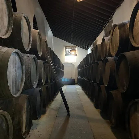 Casa Miguel - 2 * Sanlucar de Barrameda