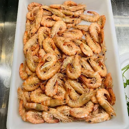 Casa Miguel - 2 アパート *